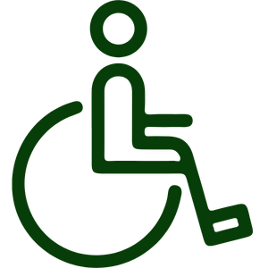 Disability, Accessibility & Inclusion Speaker