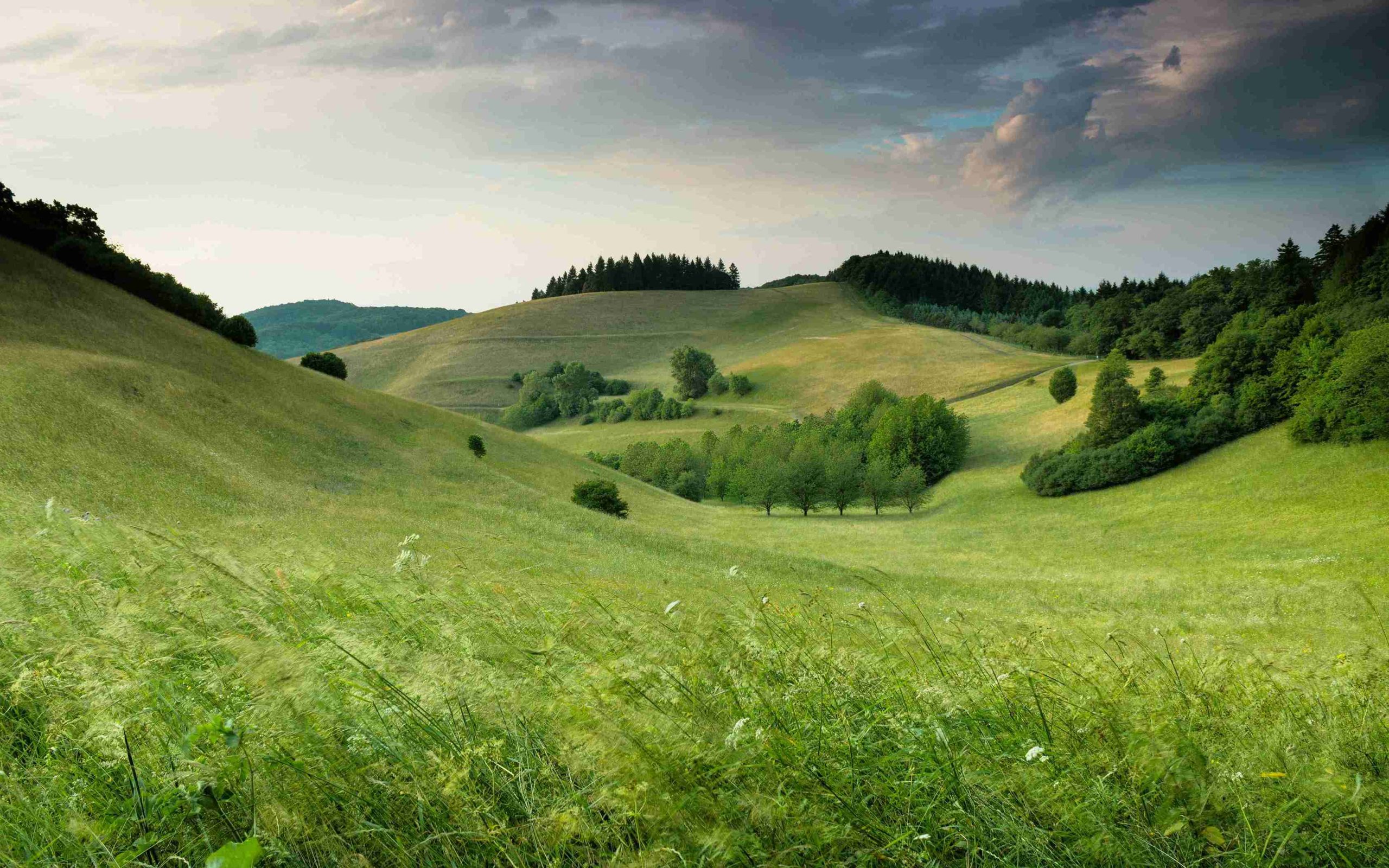 green fields landscape