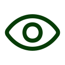 visibility icon